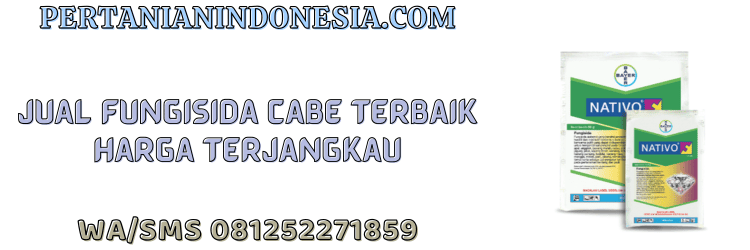jual,murah,terjangkau,toko pertanian terdekat,pertanian indonesia